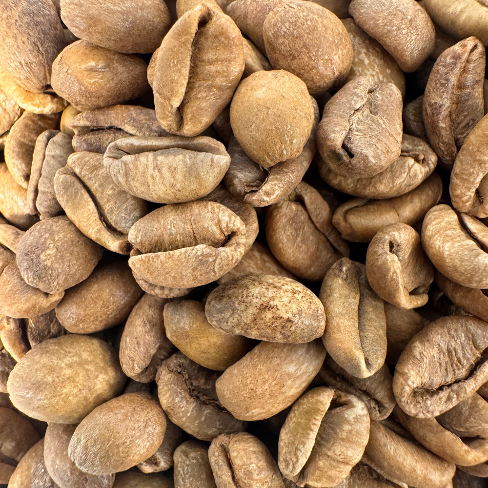 GREEN BEANS - Liberica Johor Meranti Specialty Grade