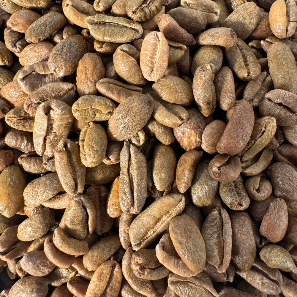GREEN BEANS - The Bagan N2 - Liberica Natural Nitrogen Maceration