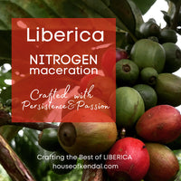 The Bagan N2 - Liberica Natural Nitrogen Maceration