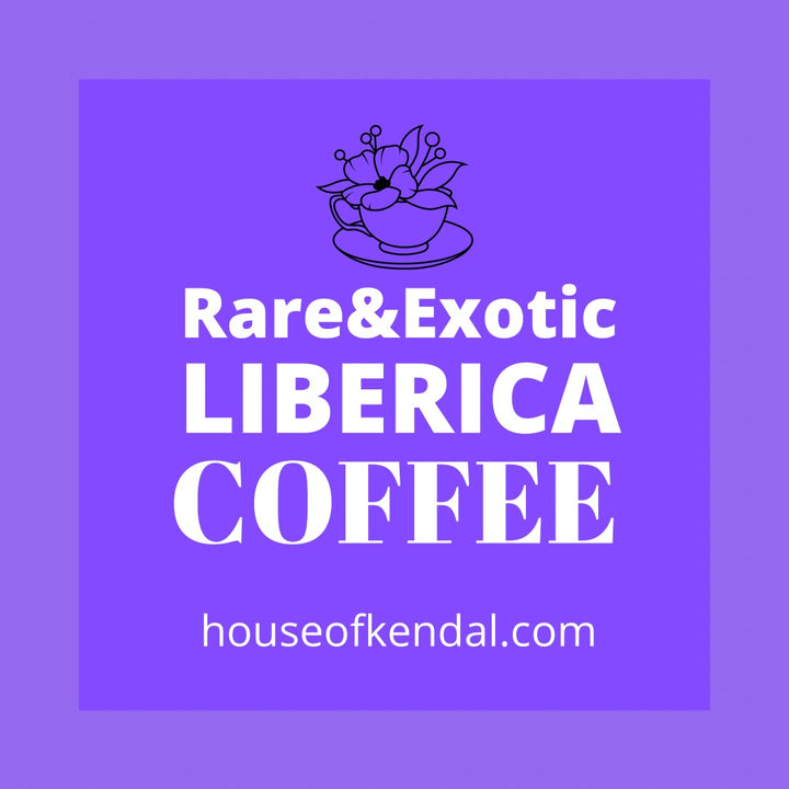 Liberica Coffee - Why Is It Unique and Special?