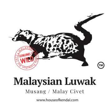 Wild Luwak Liberica - Malaysian Authentic